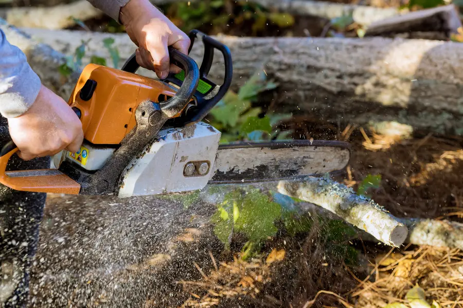 Expert Tree Services Naples, FL Expert Tree Services Naples, FL