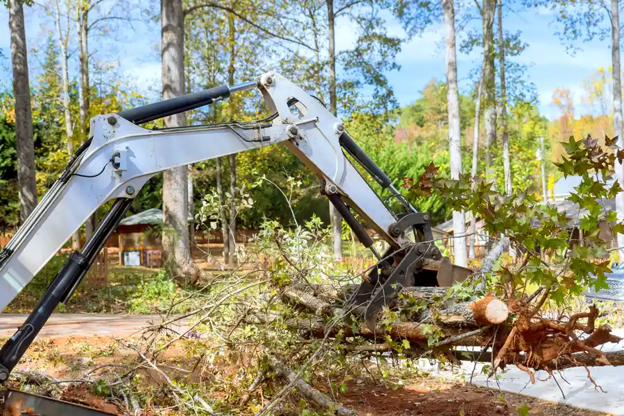Quality Land Clearing Naples, FL Quality Land Clearing Naples, FL