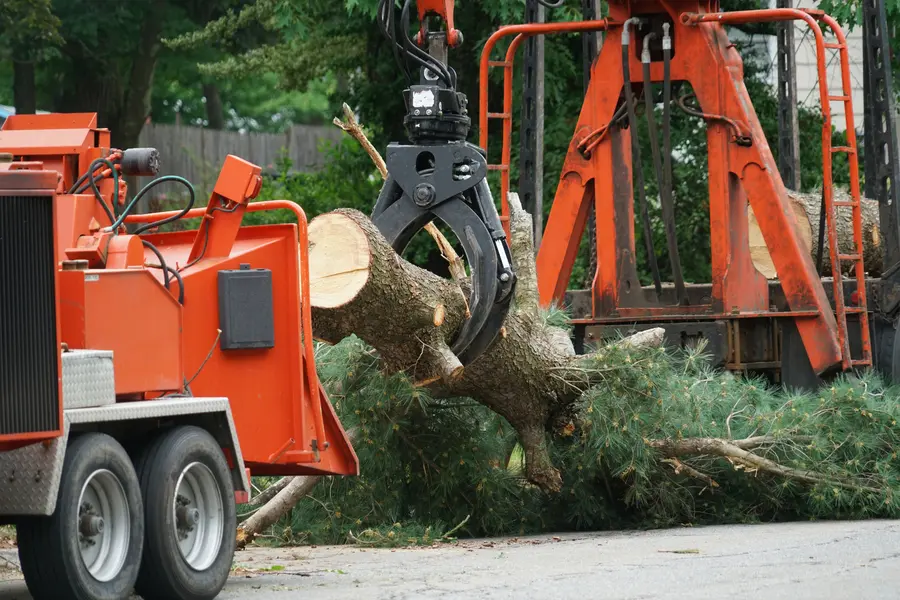 Reliable Tree Services Naples, FL Reliable Tree Services Naples, FL