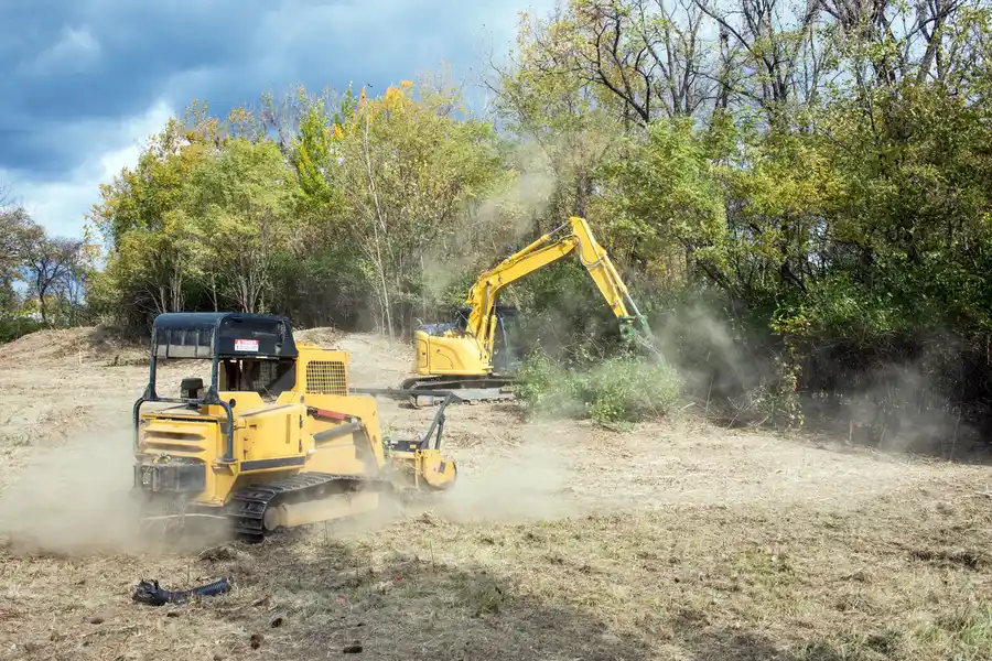 Superior Land Clearing Naples, FL Superior Land Clearing Naples, FL