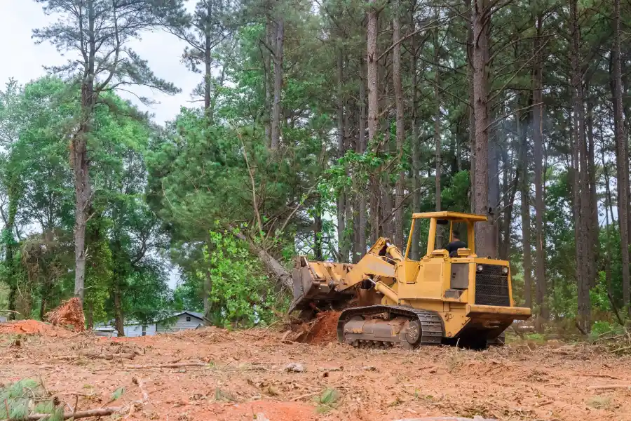 The Importance Of Land Clearing For Site Development Success Naples, FL The Importance Of Land Clearing For Site Development Success Naples, FL