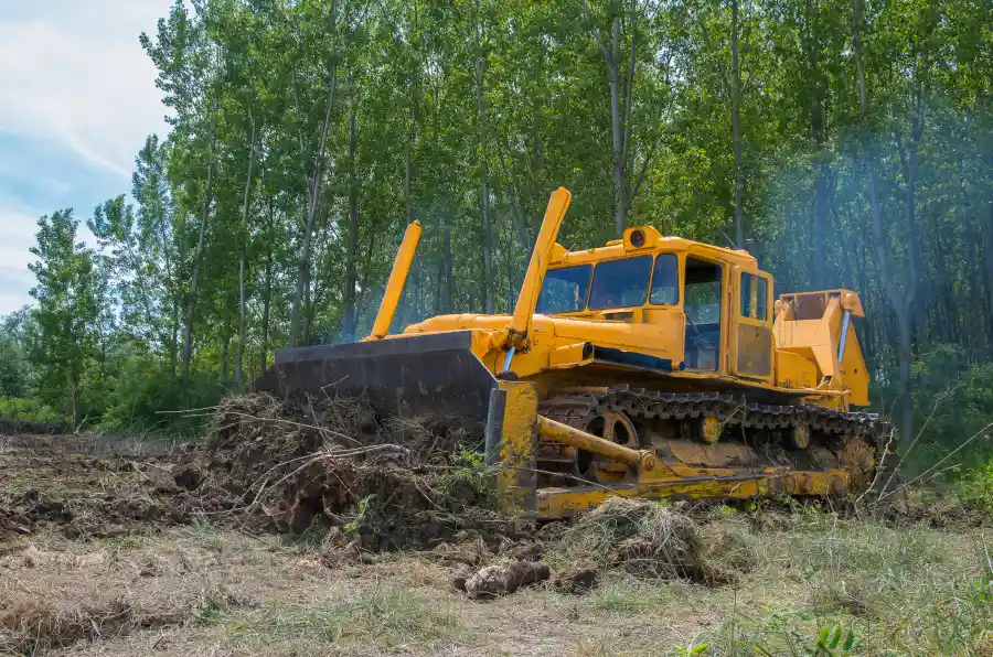 The Importance Of Land Clearing For Site Development Success in Naples, FL The Importance Of Land Clearing For Site Development Success in Naples, FL